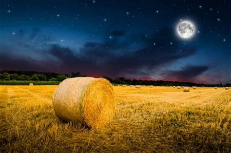 Witnessing the Harvest Moon's magical mood around the world